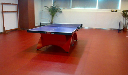 乒乓球運(yùn)動(dòng)地板的特性及其在健身休閑活動(dòng)中的重要性