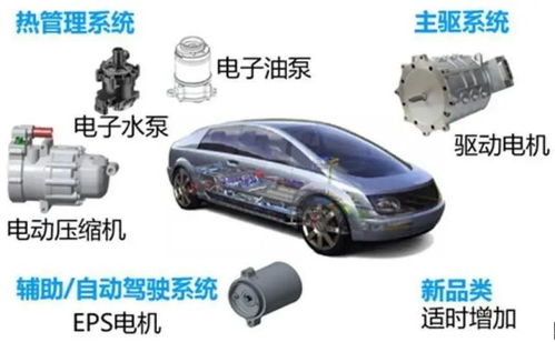 從賈躍亭到董明珠 巨頭入局汽車租賃的挑戰(zhàn)與機遇